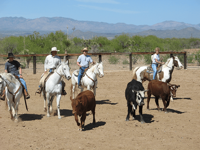 thanksgiving-roping-at-flying-e-dude-ranch