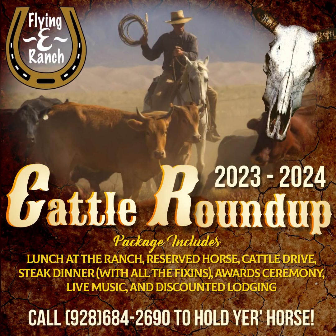 Cattle Drive - 31123 (1)