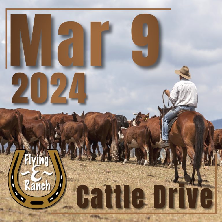 03/09/2024 Cattle Roundup (21+) Flying E Ranch