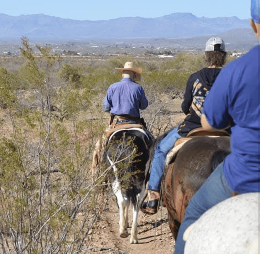 Group horseback riding through a desert landscape under clear skies.